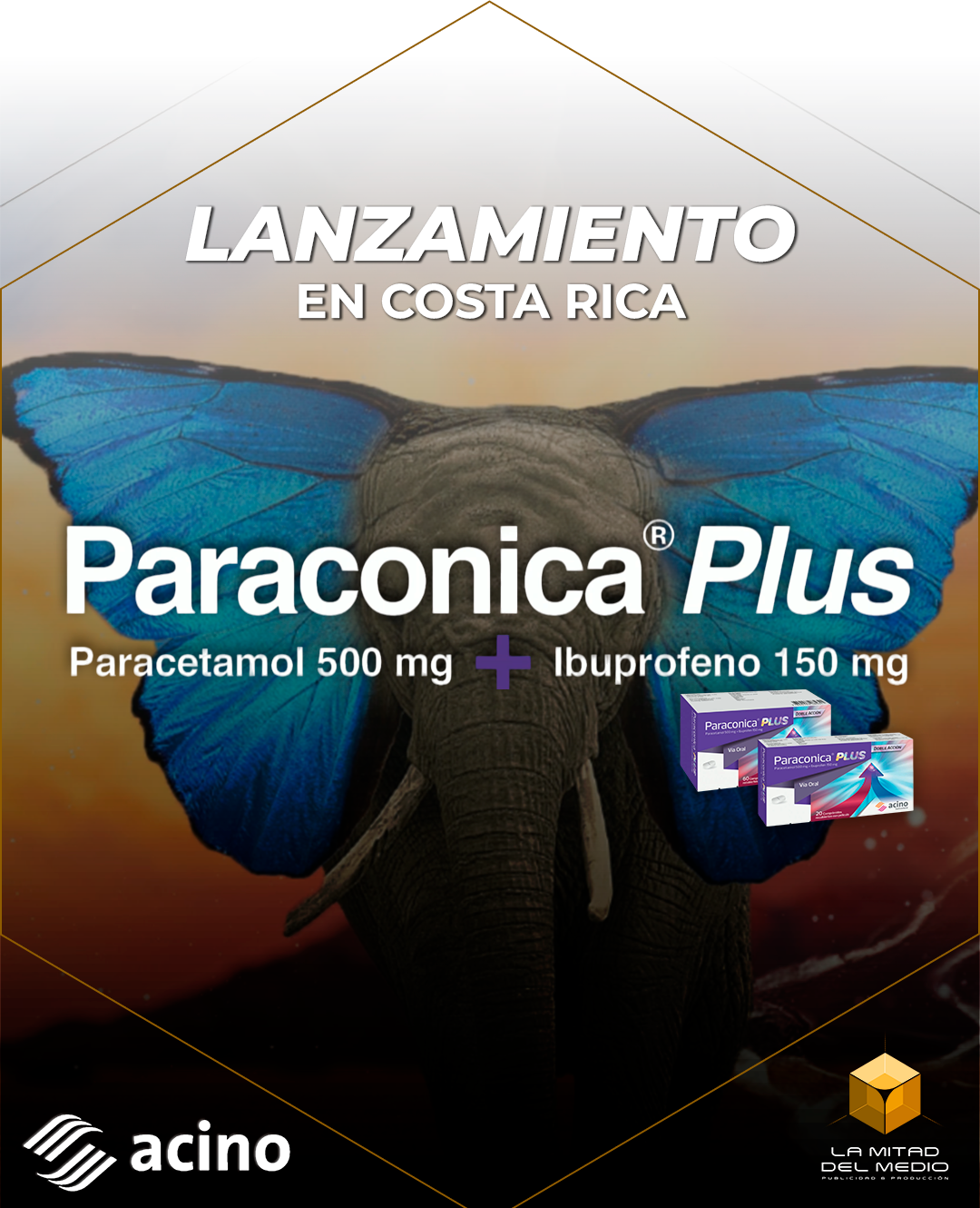 Paracónica